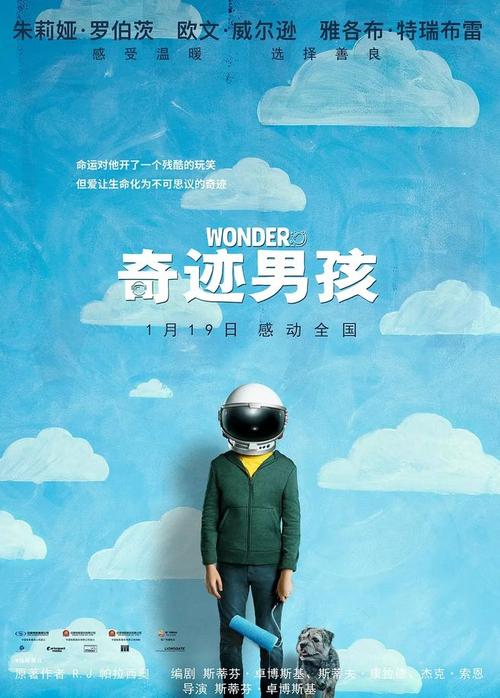 查找学历证书编号